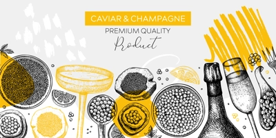 Caviar and champagne hand drawn illustrations collection. Hand drawn red caviar canape, canned black caviar, sparkling wine bottle, glasses sketches set. Seafood drawings isolated on white background